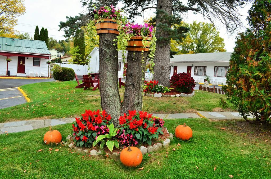 Williamstown Motel Dış mekan fotoğraf